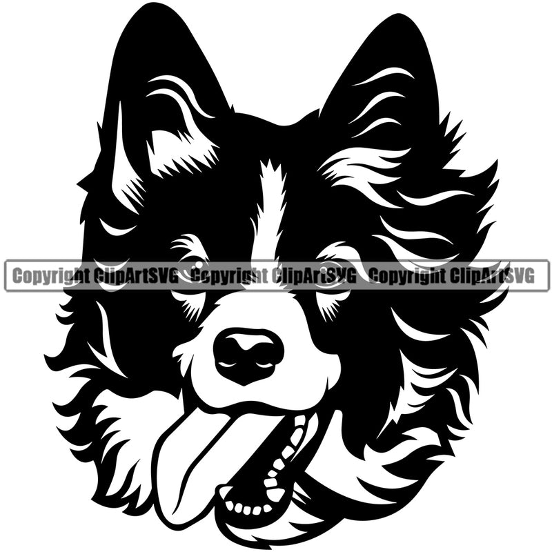 Animal Head Border Collie Dog Pup Pedigree Head Doggy Purebred Breed Canine Clipart SVG