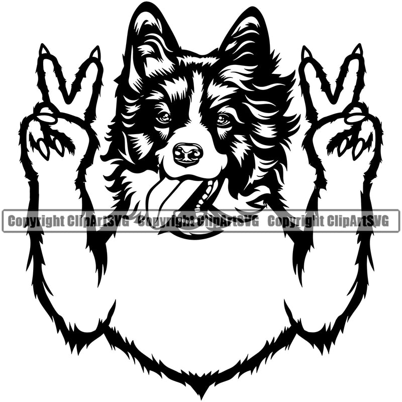 Peace Hand Sign Animal Dog Face Head Border Collie Pedigree Head Doggy Purebred Breed Canine Clipart SVG