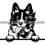 Border Collie Dog Peeking Color Head Pedigree Head Doggy Purebred Breed Canine K-9 Clipart SVG