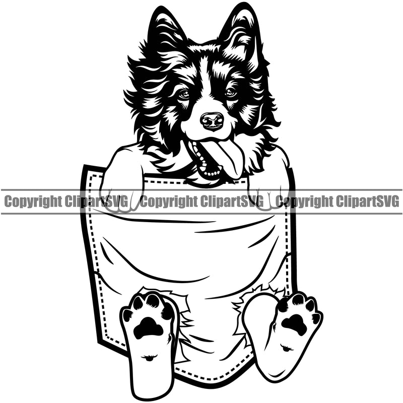 Border Collie Dog Hanging From Shirt Pocket Animal Pedigree Head Doggy Purebred Breed K9 Clipart SVG