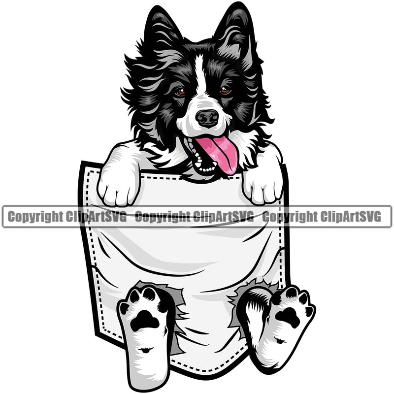 Border Collie Dog Hanging From Shirt Pocket Animal Pedigree Head Doggy Purebred Canine K-9 Clipart SVG