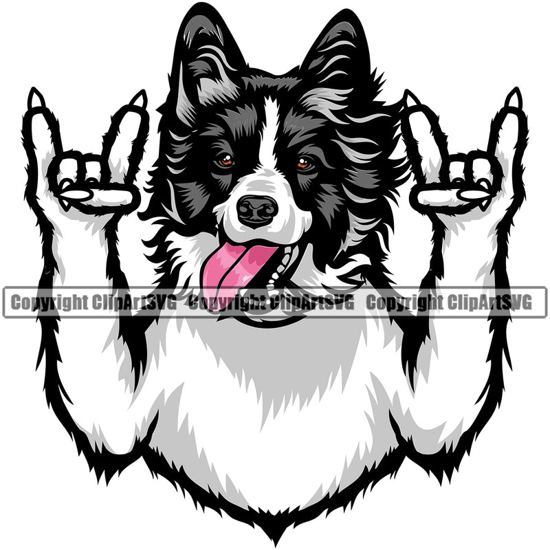 Border Collie Rock And Roll Hand Sign Color Head Animal Pedigree Head Doggy Purebred Breed Canine Clipart SVG