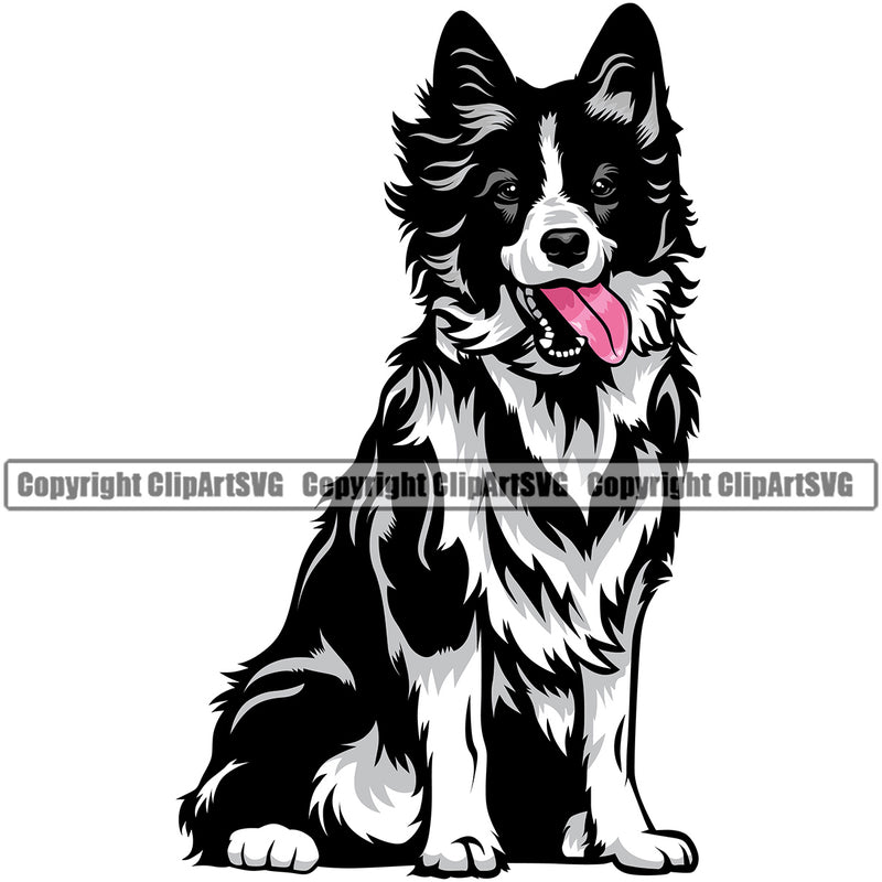 Sitting Color Dog Animal Border Collie Pedigree Head Doggy Purebred Breed Canine K-9 Clipart SVG