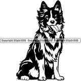 Sitting Border Collie Dog Animal Body Pup Pedigree Head Doggy Purebred Breed Clipart SVG