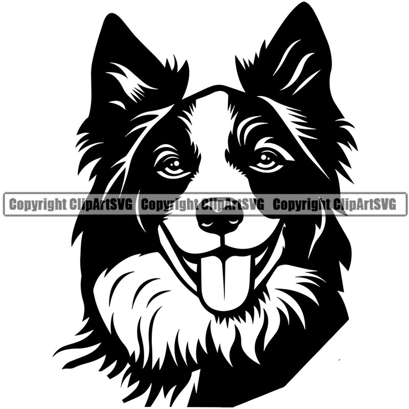 Animal Dog Border Collie Head Pup Pedigree Head Doggy Purebred Breed Clipart SVG