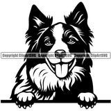 Peeking Border Collie Dog Animal Pup Pedigree Head Doggy Purebred Breed Dog Clipart SVG