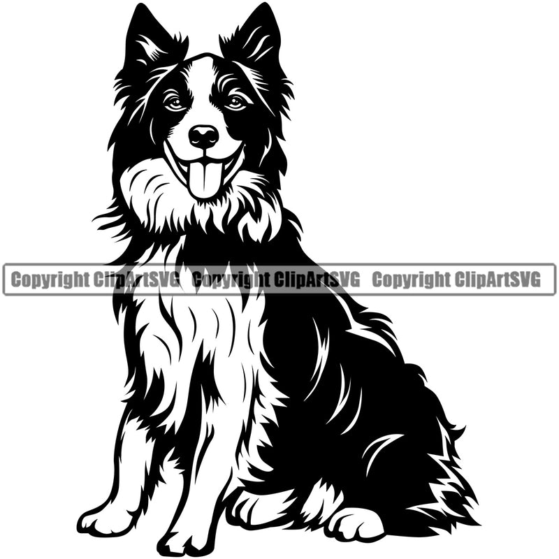 Sitting Dog Border Collie Animal Body Pedigree Head Doggy Purebred Breed Canine K-9 Clipart SVG