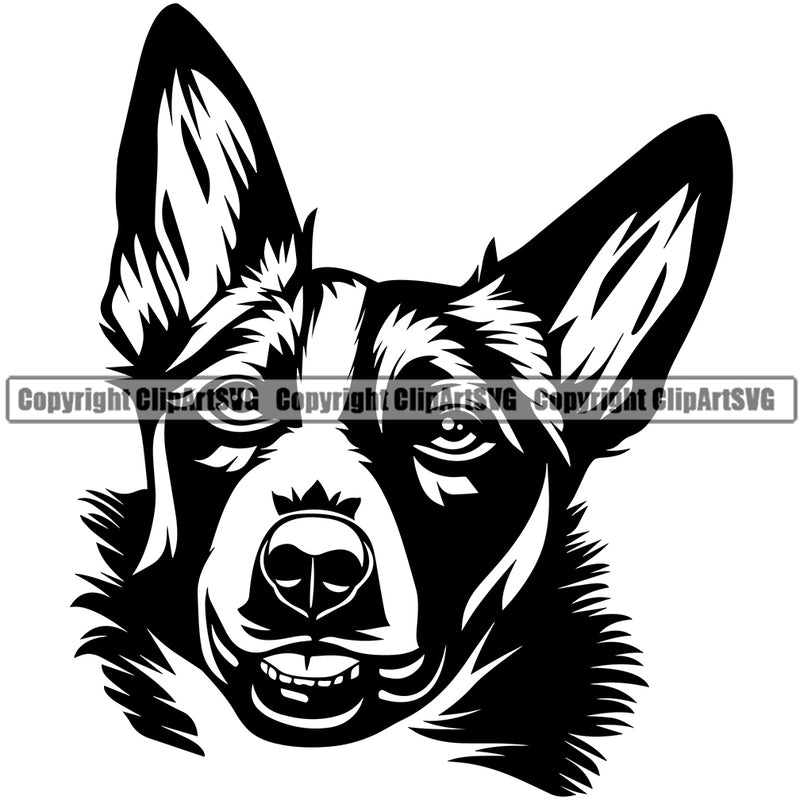 Border Collie Breed Dog Head Animal Pup Pedigree Head Doggy Purebred Breed Clipart SVG