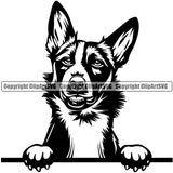 Border Collie Peeking Animal Dog Pedigree Purebred Breed Head Doggy Canine Vector Clipart SVG