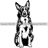 Border Collie Sitting Pedigree Head Doggy Purebred Breed Dog Animal Canine Vector Clipart SVG