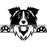 Border Collie Peeking Dog Animal Head Pedigree Head Doggy Purebred Breed Canine K-9 Clipart SVG