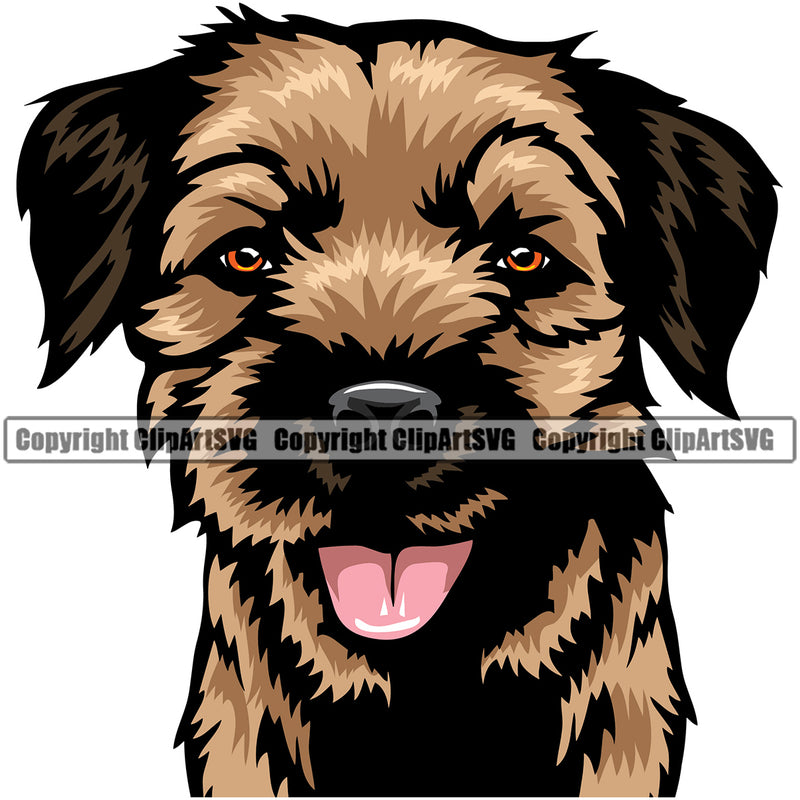 Border Terrier Head Color Dog Animal Pedigree Head Doggy Purebred Breed Canine Clipart SVG