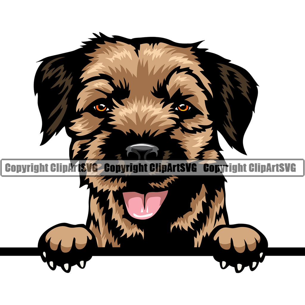 Border Terrier Peeking Color Head Dog Pedigree Head Doggy Purebred Breed Pup Animal Clipart SVG
