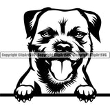 Peeking Border Terrier Dog Head Pedigree Head Doggy Purebred Breed Animal Clipart SVG