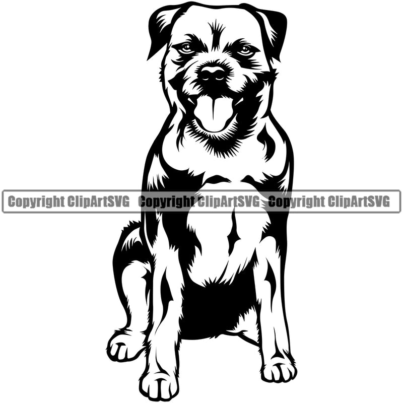 Border Terrier Sitting Breed Dog Animal Pup Pedigree Head Doggy Purebred Clipart SVG