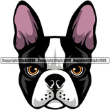 Head Color Animal Dog Boston Terrier Portrait Doggy Face Cute Pup Pedigree Breed Clipart SVG