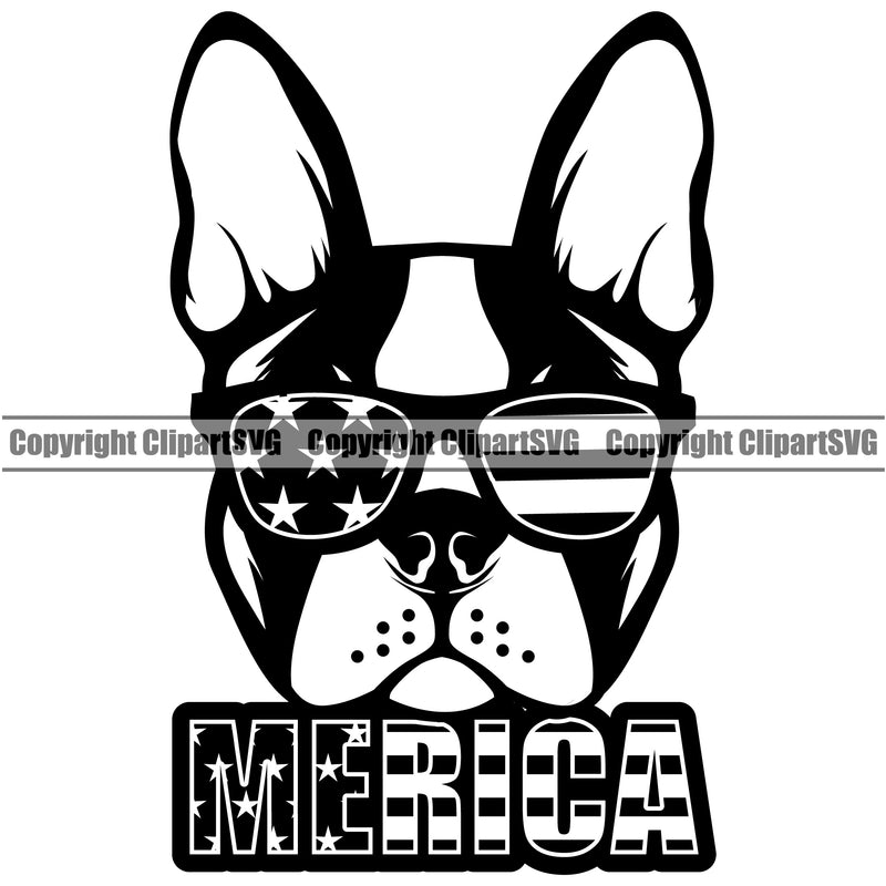 Boston Terrier Dog  Wearing Sunglasses Merica Text Doggy Face Cute Pup Pedigree Breed Clipart SVG
