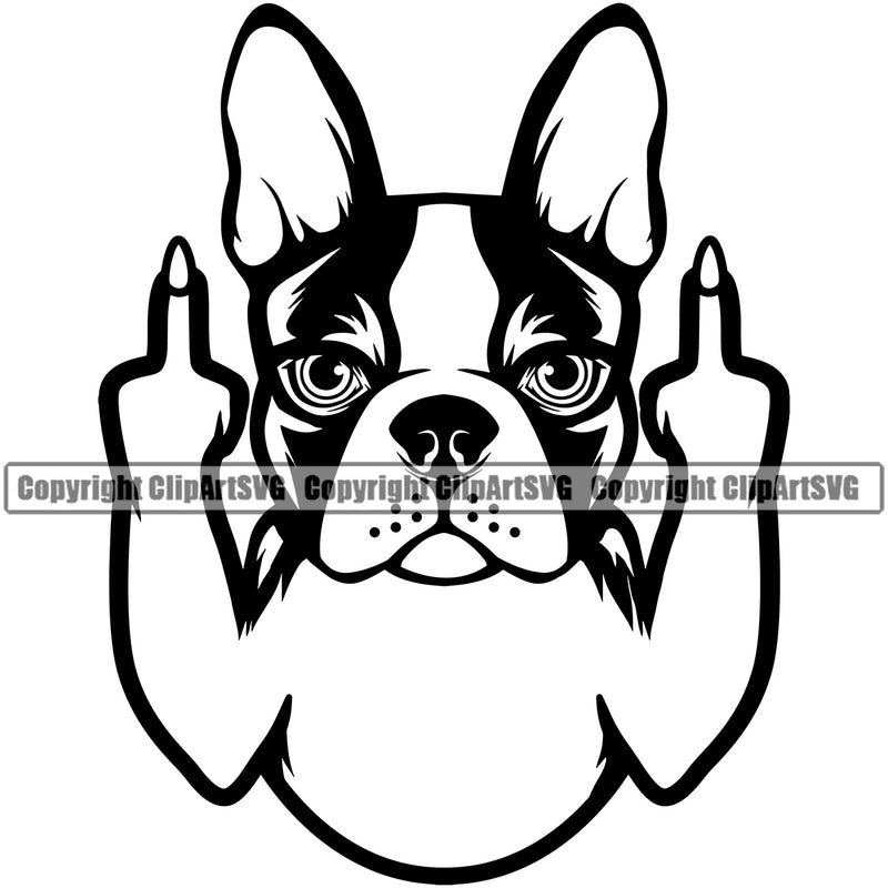 Boston Terrier Middle Finger Dog Animal Portrait Doggy Face Cute Pup Pedigree Breed Clipart SVG