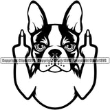 Boston Terrier Middle Finger Dog Animal Portrait Doggy Face Cute Pup Pedigree Breed Clipart SVG