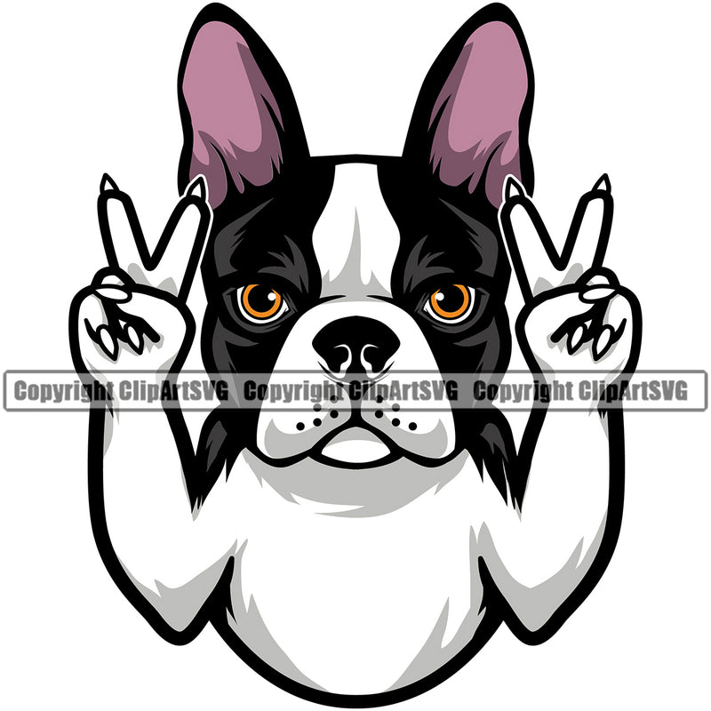 Peace Hand Sign Boston Terrier Animal Dog Portrait Doggy Face Cute Pedigree Breed Canine Clipart SVG