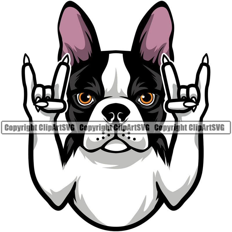 Rock And Roll Hand Sign Boston Terrier Cute Dog Portrait Doggy Face Cute Pup Pedigree Breed Clipart SVG