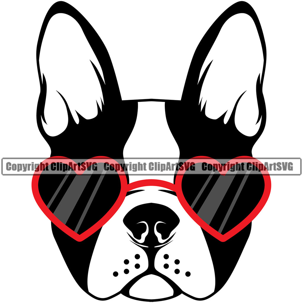 Boston Terrier Wearing Sunglasses Heart Color Cute Portrait Face Cute Pedigree Breed Clipart SVG