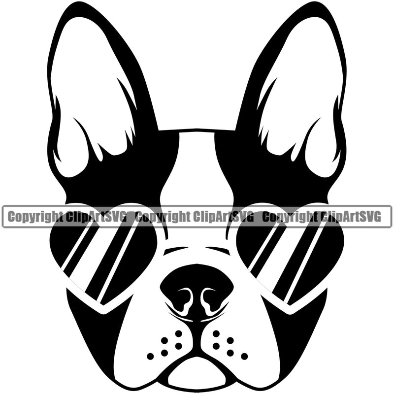 Wearing Sunglasses Heart Boston Terrier Cute Dog Animal Portrait Face Cute Pedigree Breed Clipart SVG