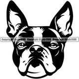 Boston Terrier Head Pup Design Pedigree Doggy Purebred Breed Dog Head Canine K-9 Vector Clipart SVG