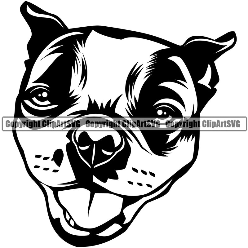 Boston Terrier Head Pup Logo Pedigree Head Doggy Purebred Breed Canine K-9 Design Element Clipart SVG