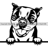 Boston Terrier Peeking Animal Dog Breed Pup Pedigree Head Doggy Purebred Cute Puppy Clipart SVG