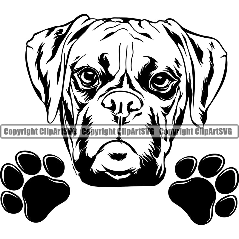 Boxer Peeking Face Dog Head Cute Pup Pedigree Breed Portrait Doggy Canine Clipart SVG