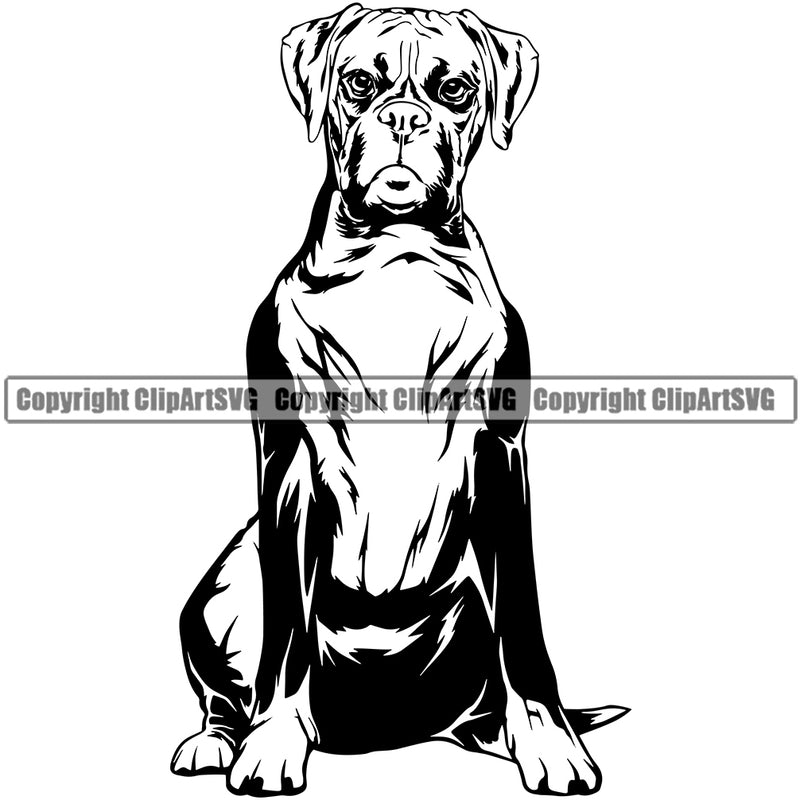 Sitting Boxer Dog Animal Doggy Face Puppy Doggy Cute Portrait Pup Breed Pedigree Clipart SVG