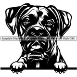 Boxer Peeking Dog Black Face Animal Doggy Face Cute Pup Pedigree Breed Portrait Clipart SVG