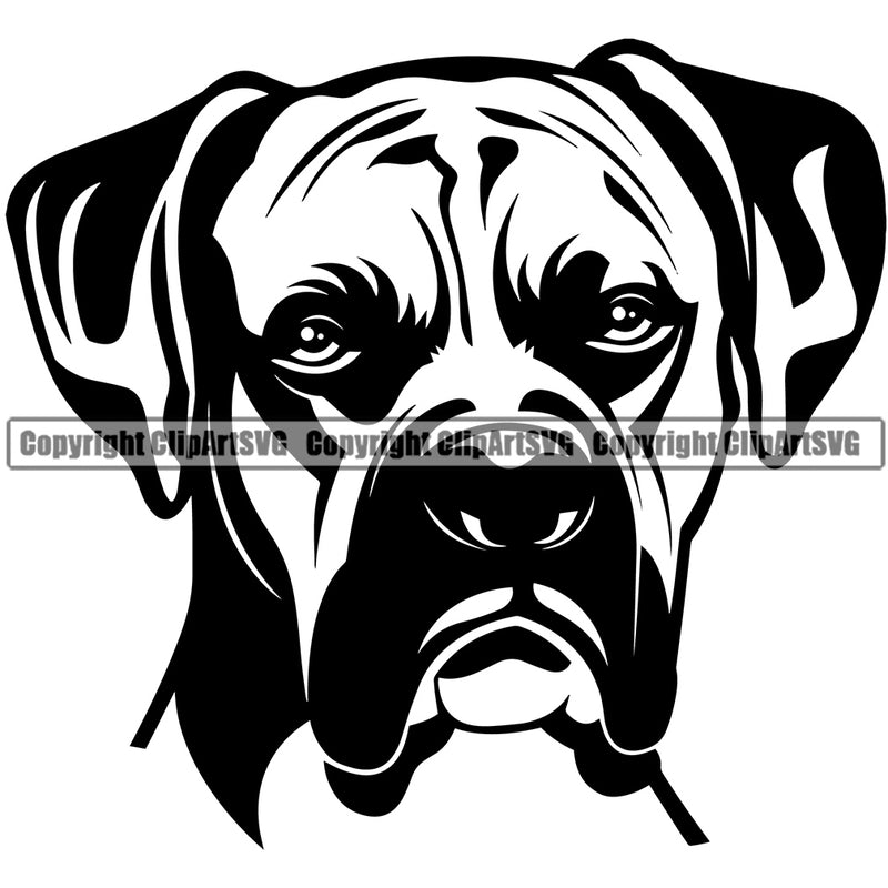 Boxer Head Animal Portrait Face Cute Pup Pedigree Breed Doggy K9 Clipart SVG