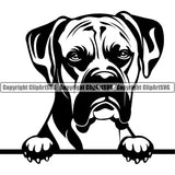 Boxer Dog Animal Portrait Doggy Face Cute Pup Pedigree Breed Peeking Clipart SVG