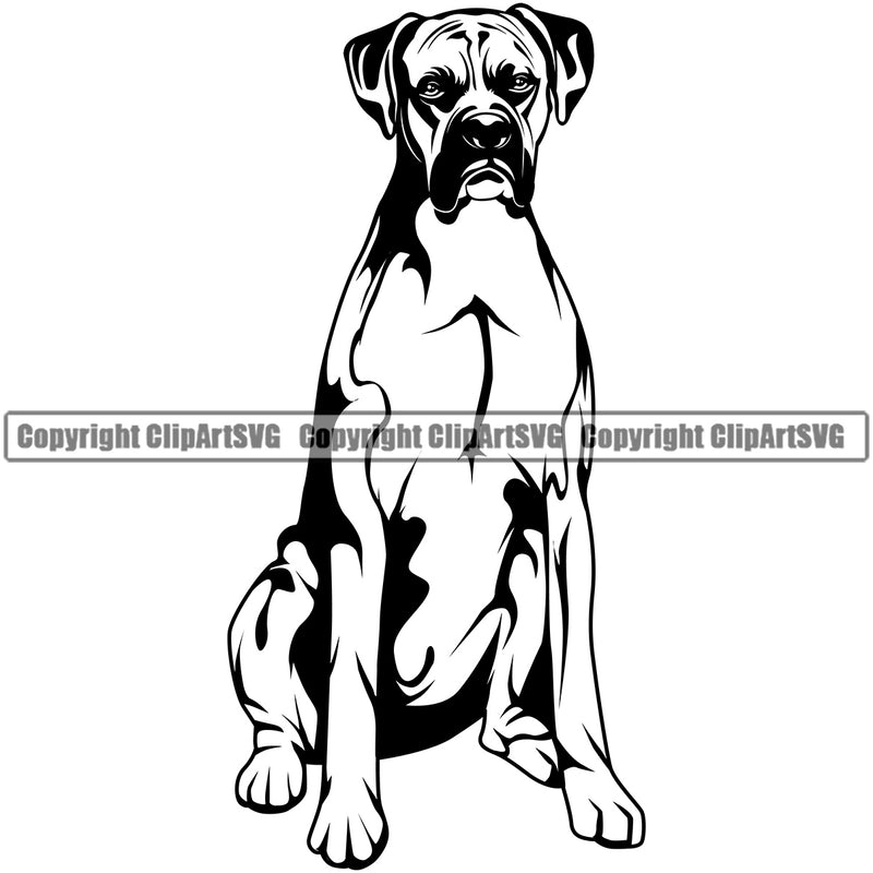 Sitting Dog Animal Breed Face Cute Pup Pedigree Doggy  Portrait Boxer Clipart SVG