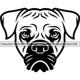 Boxer Head Face Animal Doggy Face Breed Cute Pup Pedigree Portrait Canine Clipart SVG
