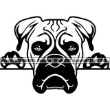 Peeking Boxer Dog Animal Portrait Doggy Face Cute Pup Pedigree Breed Canine Clipart SVG