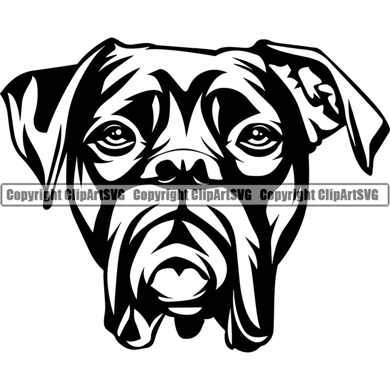 Boxer Dog Head Portrait Doggy Face Cute Pup Pedigree Breed Animal Puppy Clipart SVG