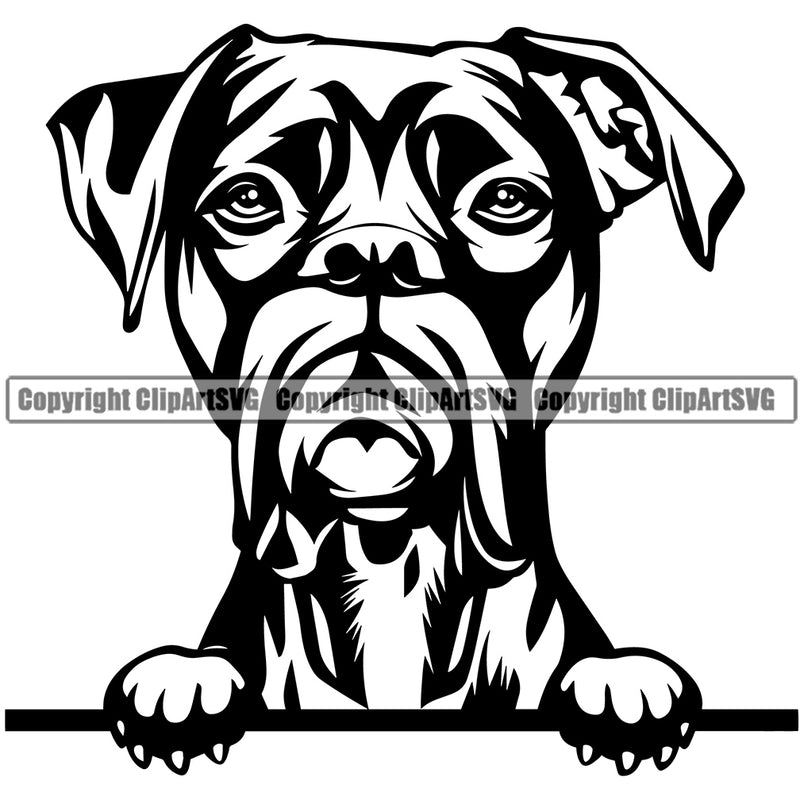 Peeking Dog Boxer Animal Doggy Animal Face Cute Pup Pedigree Breed Portrait Clipart SVG