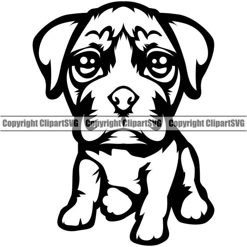 Black Body Boxer Dog Animal Portrait Doggy Face Cute Pup Pedigree Breed Canine K-9 Clipart SVG