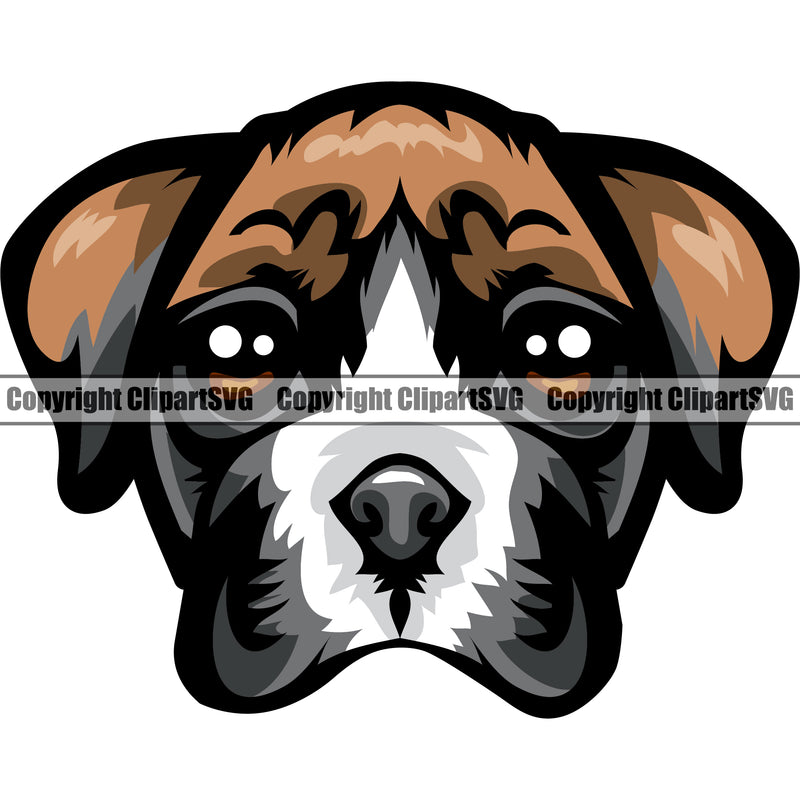 Boxer Head Dog Cute Pup Pedigree Breed Animal Portrait Doggy Face Vector Clipart SVG