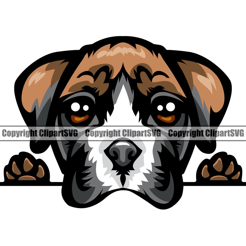 Boxer Dog Peeking Face Animal Portrait Face Cute Pup Pedigree Breed Doggy Vector Clipart SVG