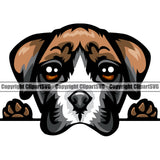 Boxer Dog Peeking Face Animal Portrait Face Cute Pup Pedigree Breed Doggy Vector Clipart SVG