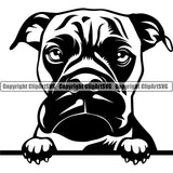 Boxer Peeking Dog Animal Portrait Doggy Face Cute Pup Pedigree Breed Clipart SVG