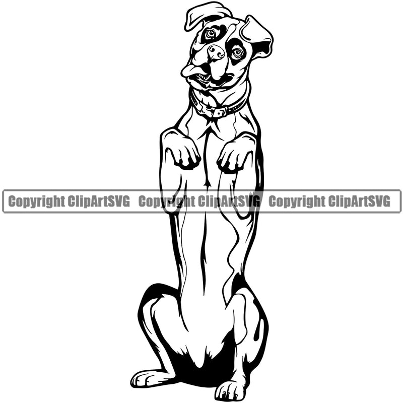 Boxer Dog Begging Animal Face Cute Pup Pedigree Breed Portrait Doggy k9 Clipart SVG