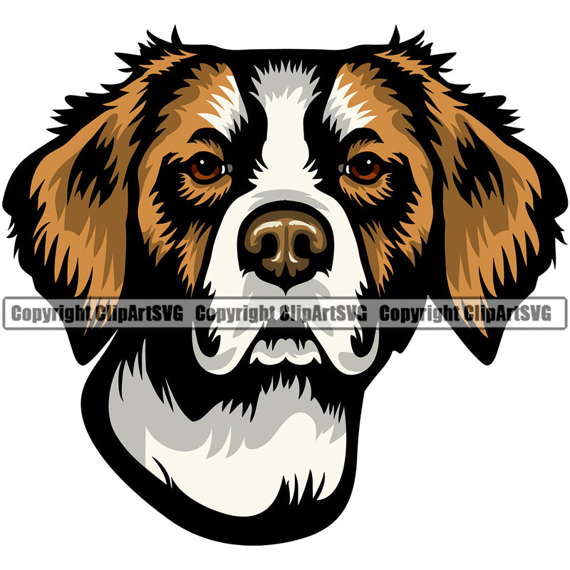 Brittany Dog Color Head Design Puppy Pup Head Purebred Pedigree Canine K-9 K9 Animal Clipart SVG