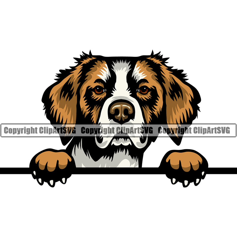 Brittany Dog Peeking Color Head Design Cute Face Puppy Pup Purebred Pedigree Doggy K9 Clipart SVG