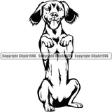 Brittany Spaniel Dog Begging Cute Face Animal Vector Puppy Pup Head Purebred Pedigree Canine K-9 Clipart SVG