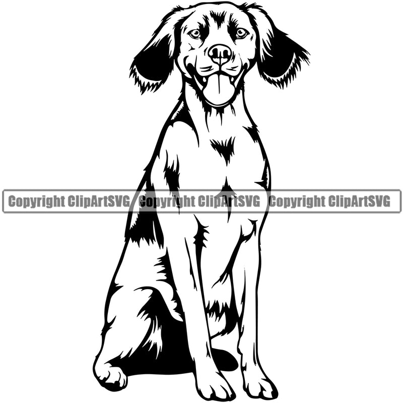 Brittany Spaniel Dog Sitting Breed Animal Puppy Pup Head Purebred Pedigree Canine K-9 Doggy Clipart SVG
